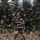 February 9, 2021, a local farmer walking in a swarm of desert locust in Meru, Kenya